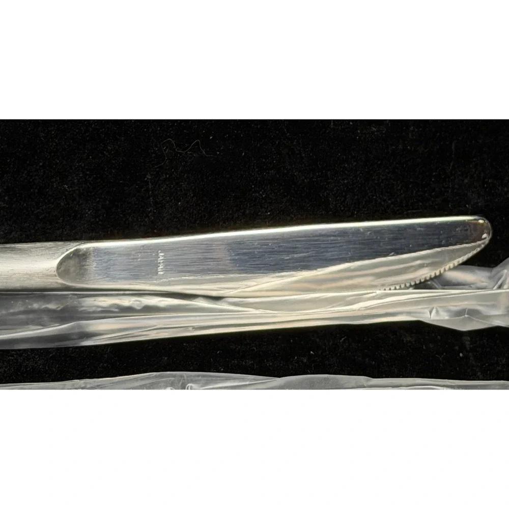 Kingston Stainless Steel Butter Knives Set of 4, Black Tapered Handle Japan, NEW